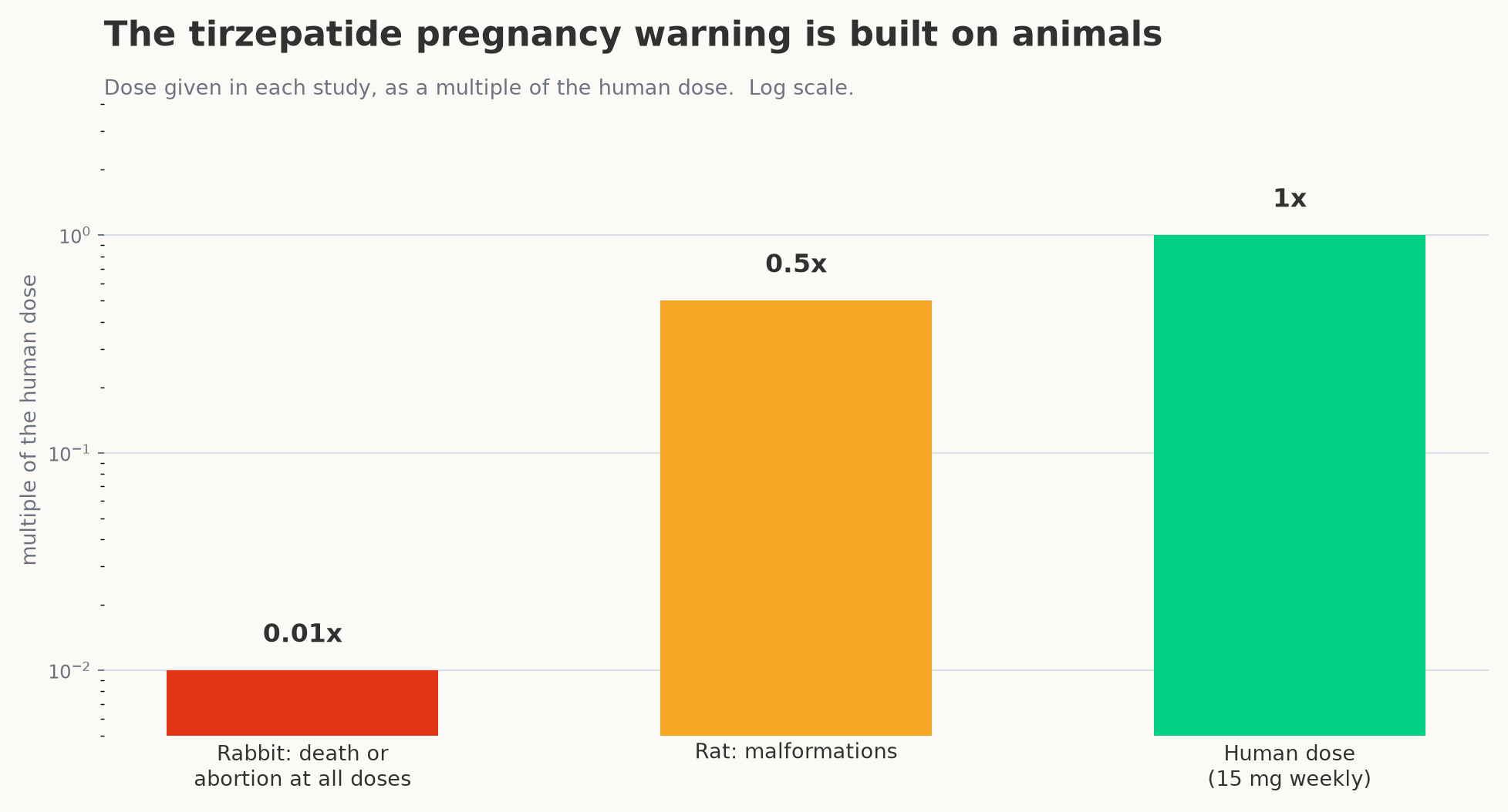 Doses used in the animal studies behind the pregnancy warning, as multiples of the human dose.